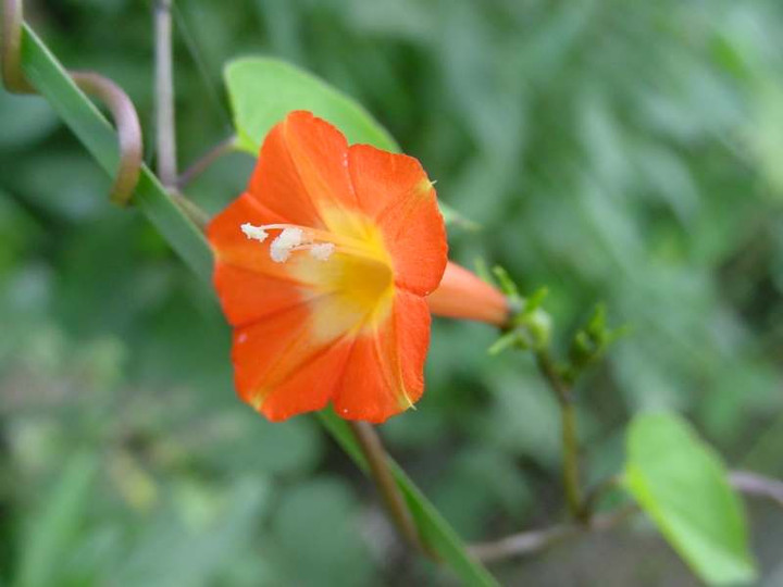 dsc00902