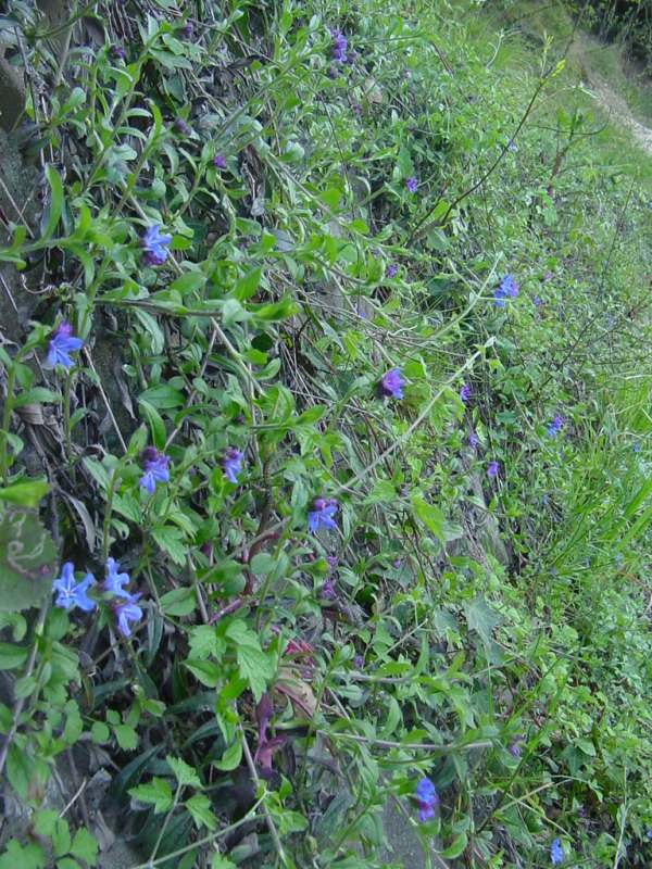 Dsc00906_2