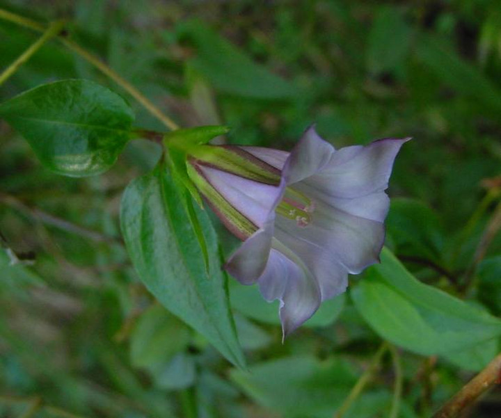 dsc00908