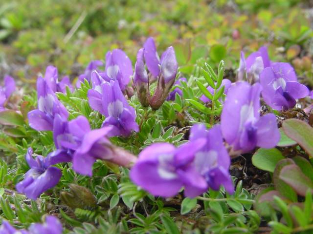dsc00908
