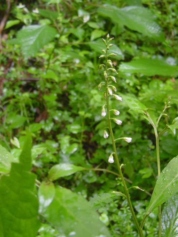 Dsc00914_2