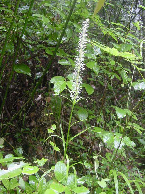Dsc00916_2