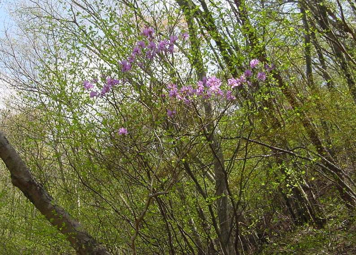 Dsc00919