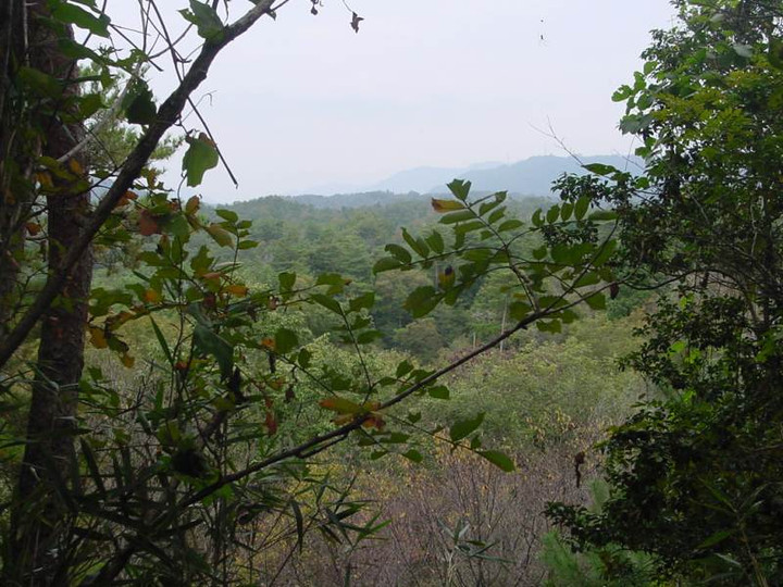 Dsc00926_1