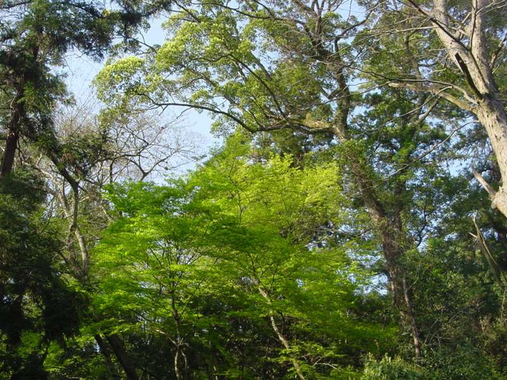 Dsc00937