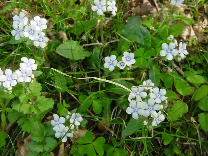 Dsc00954_1