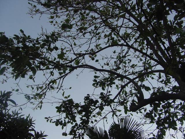 dsc00961