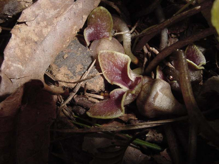 Dsc00966