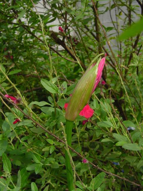 Dsc00986