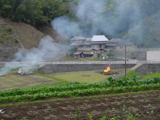 Dsc00989