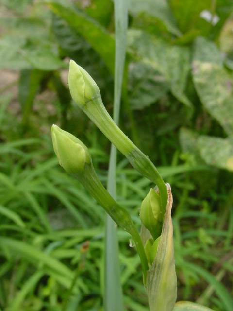 Dsc00991_2