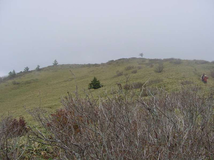 Dsc00998_3