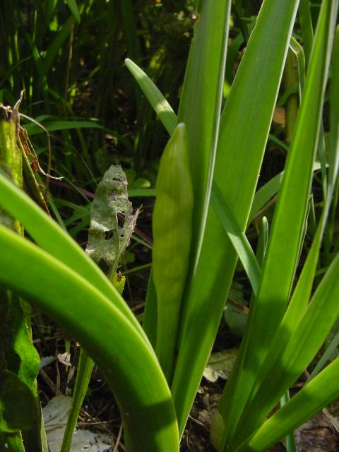 Dsc00999