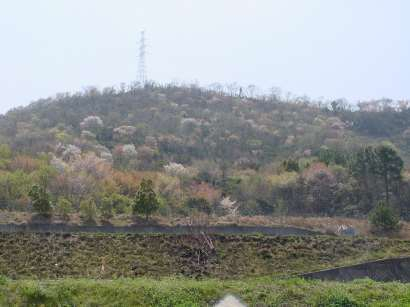 dsc00a133
