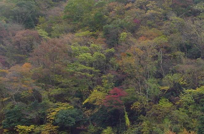 Dsc01007_1