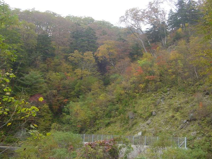 Dsc01008