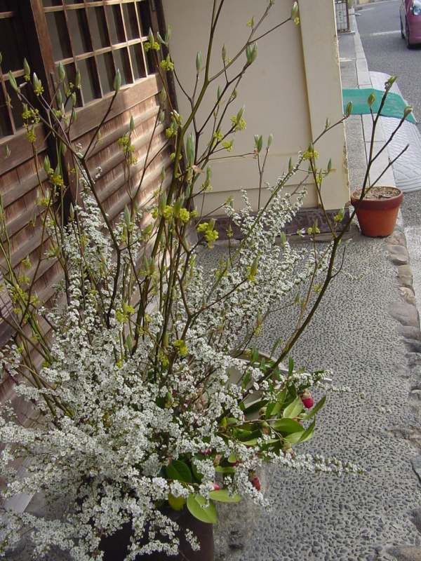 Dsc01012_1