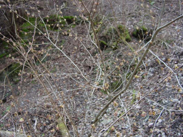 Dsc01014