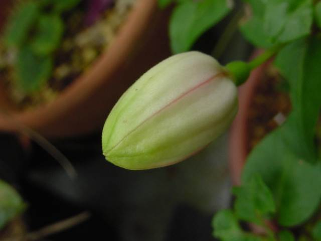 Dsc01020