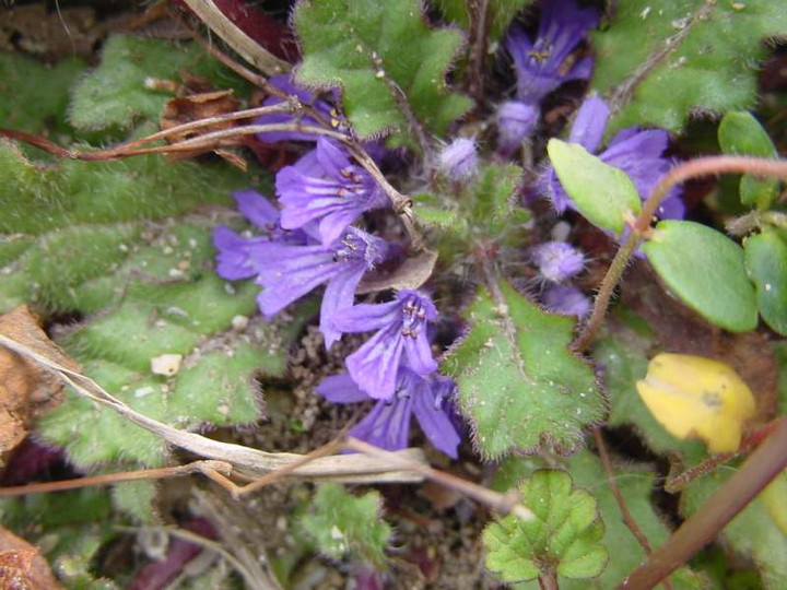 Dsc01021