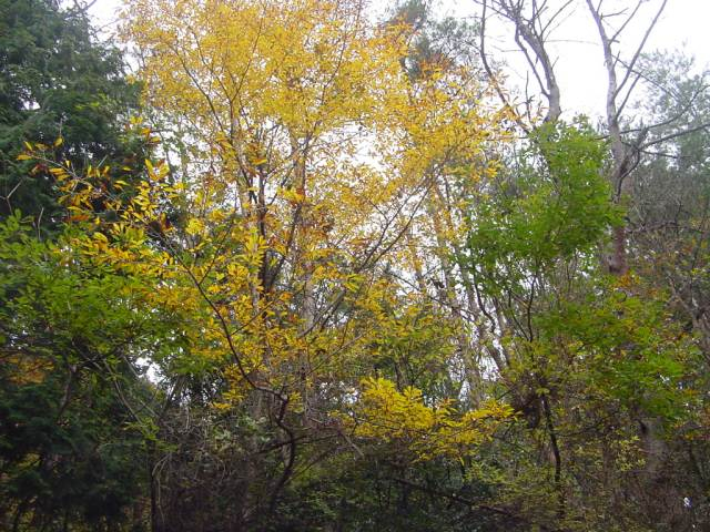 Dsc01024_1