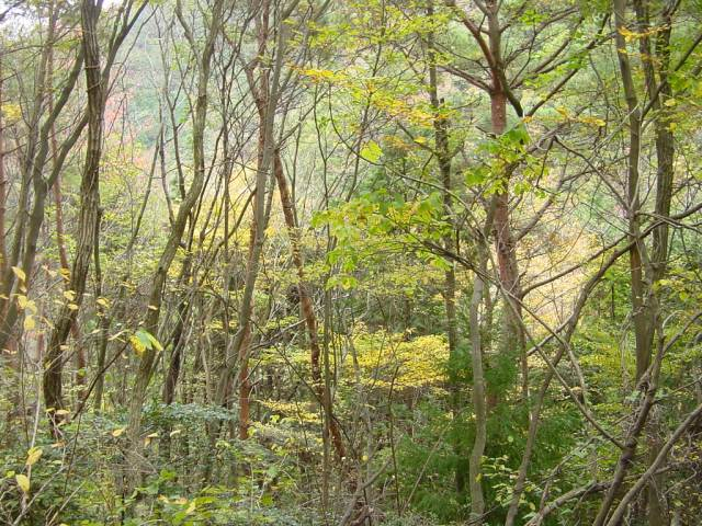 Dsc01027_1