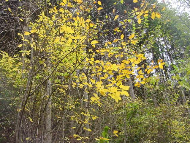 Dsc01032_2