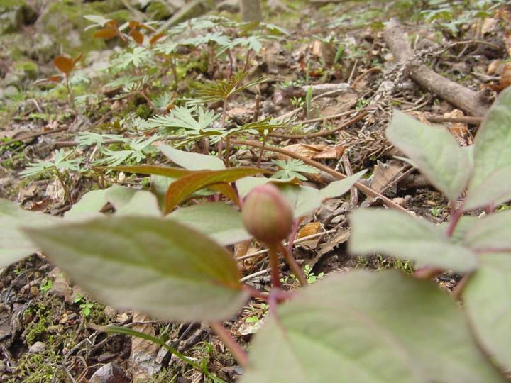 Dsc01032_5