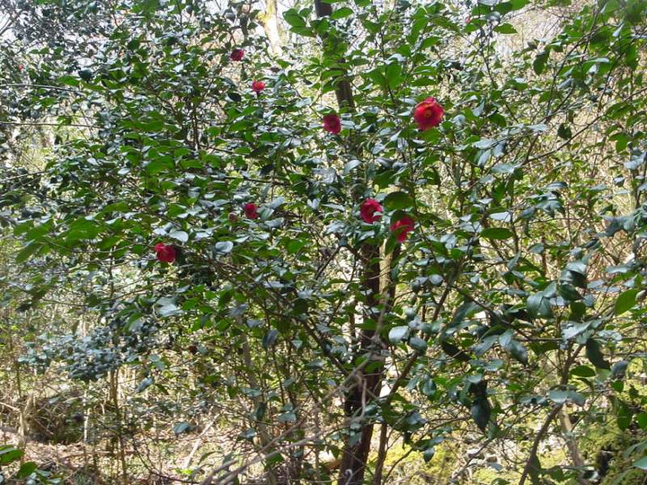 Dsc01038_2