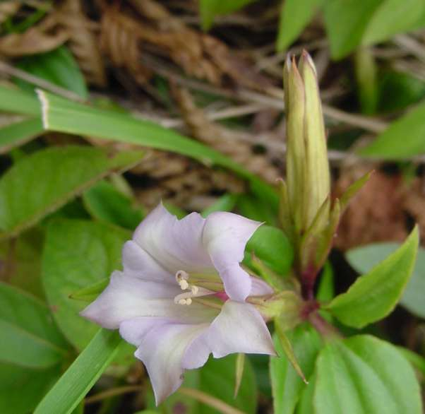 Dsc01055_1
