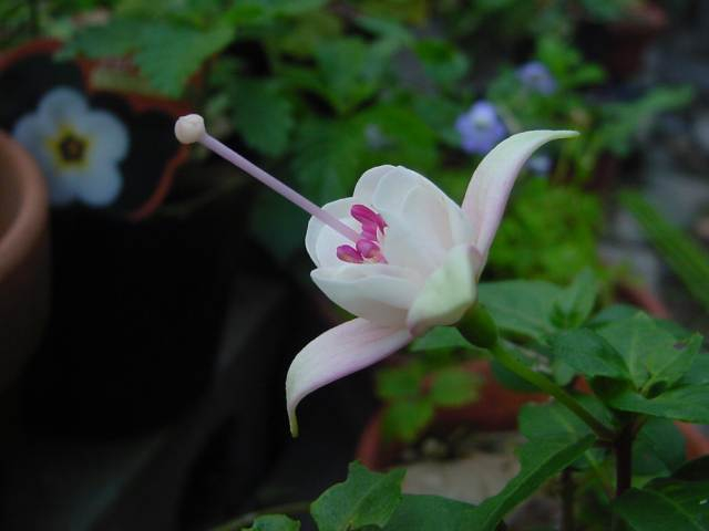 Dsc01058_1