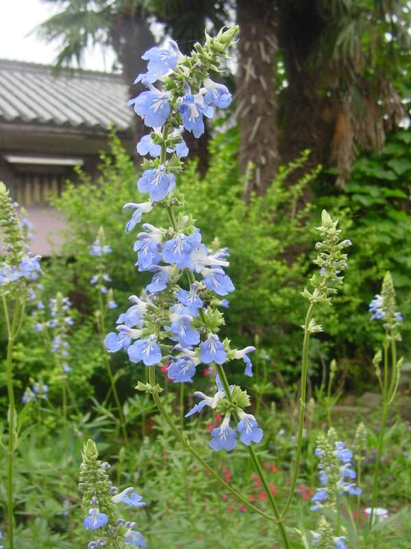 Dsc01064_2