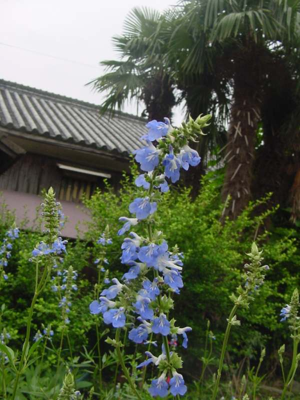 Dsc01065_2