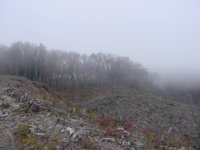 Dsc01066