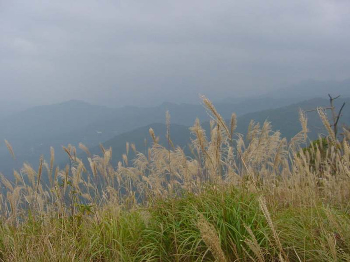 Dsc01066_2