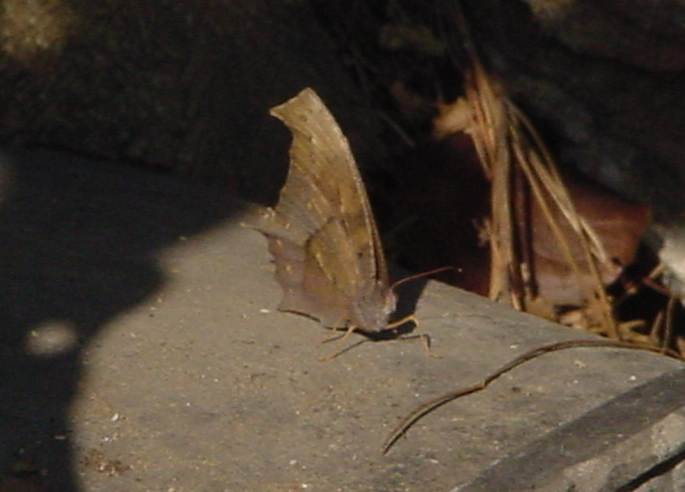 Dsc01081_1