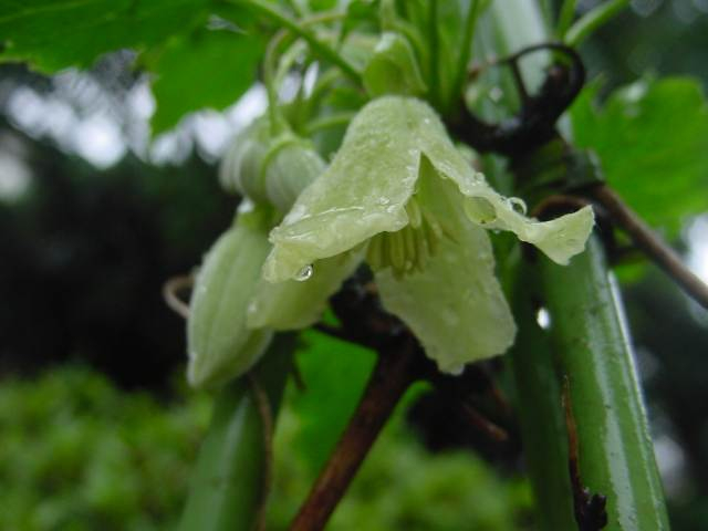 Dsc01081_2