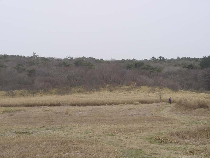 Dsc01087_1