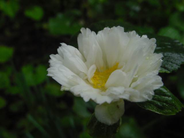Dsc01090_2