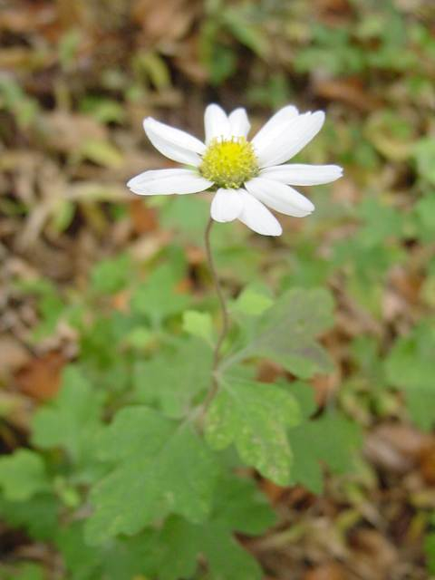 Dsc01101