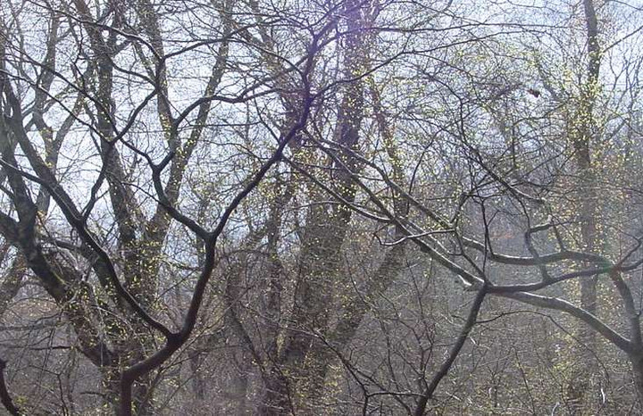 Dsc01103