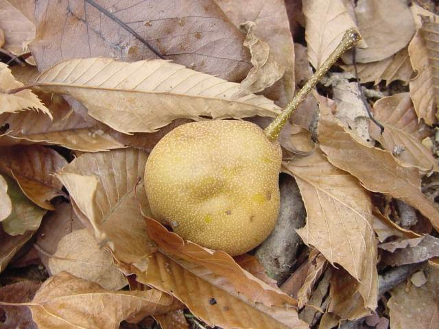 Dsc01107