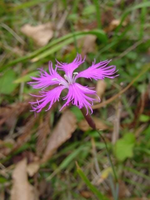 Dsc01114_3