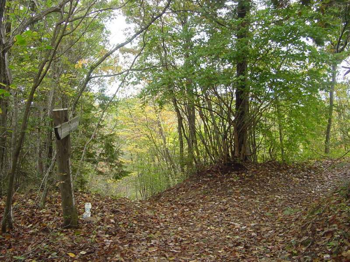 Dsc01115_3