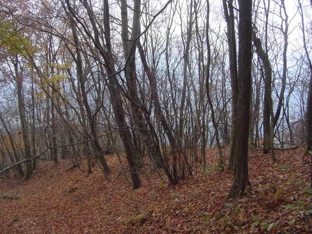Dsc0112