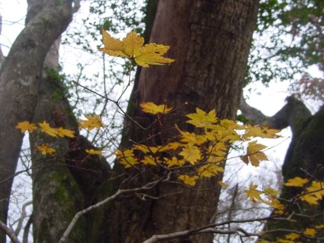 Dsc01127_1