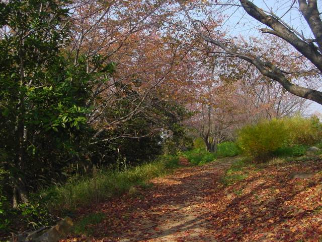 Dsc01132