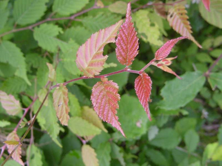 Dsc01138_1
