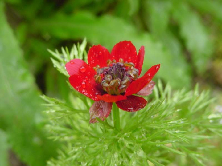Dsc01140_4