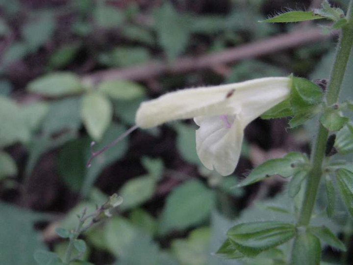 Dsc01143_2